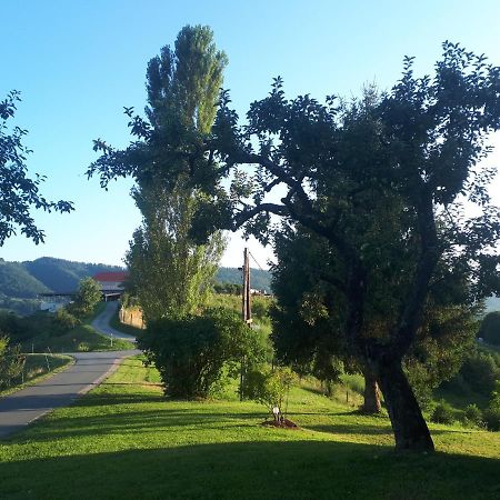 Villa Maxl Maltschach Esterno foto