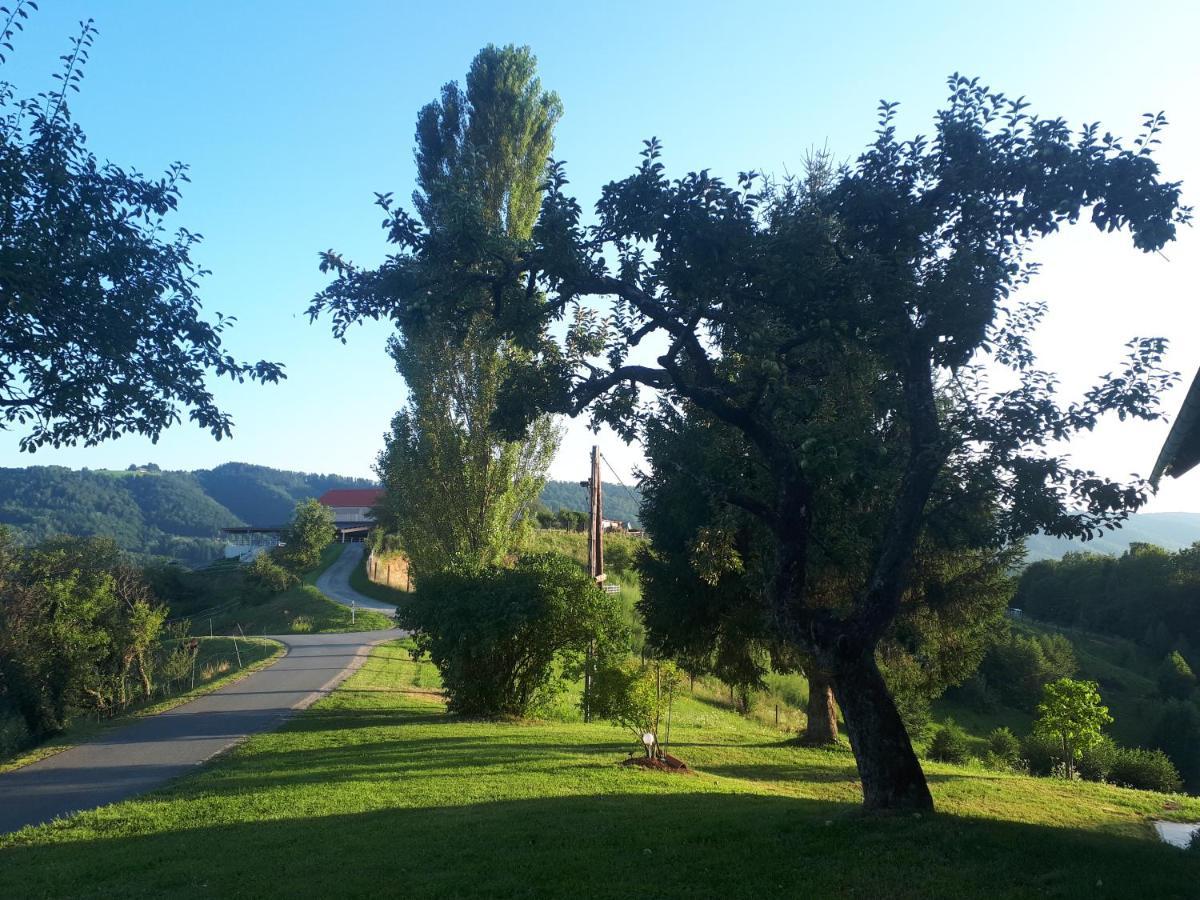 Villa Maxl Maltschach Esterno foto