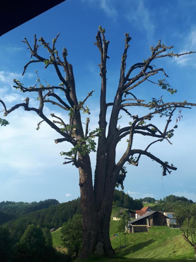 Villa Maxl Maltschach Esterno foto