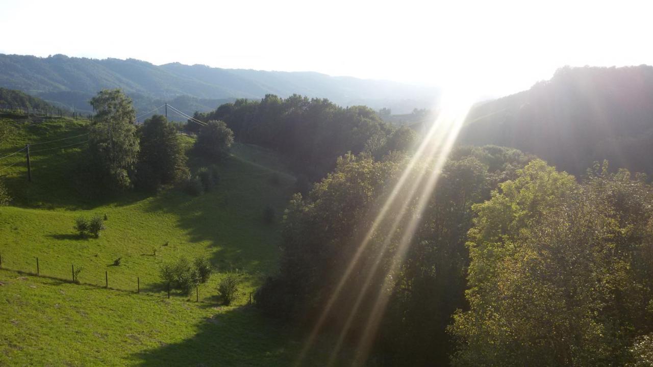 Villa Maxl Maltschach Esterno foto
